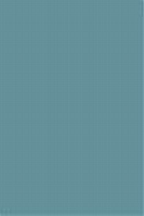 090 Chinese Blue